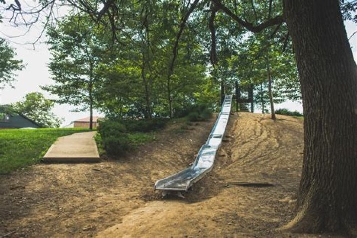 Exploring the Fascinating World of Longhorn in Beavercreek, Ohio