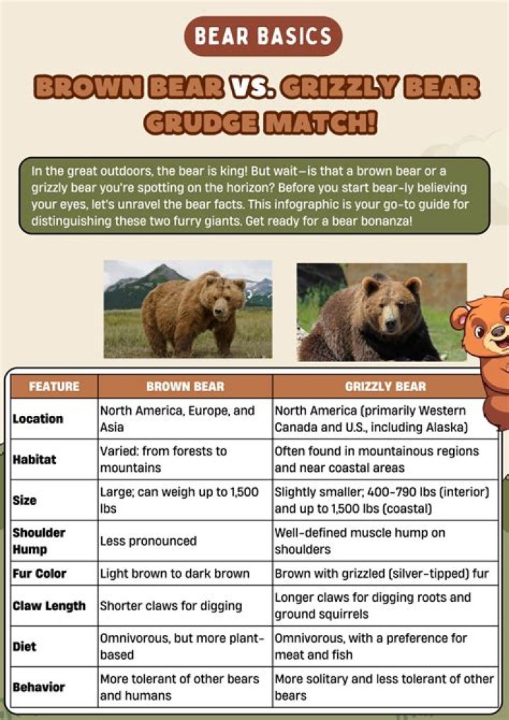 Grizzly Bear vs. Brown Bear: Understanding the Differences and Similarities