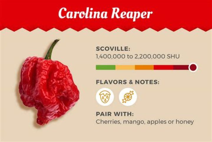 Unveiling the Scoville of Carolina Reaper: The World's Hottest Pepper