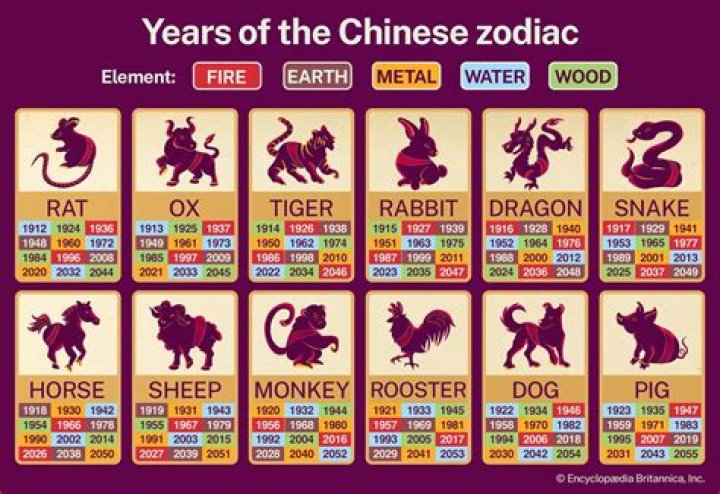 What is the Rarest Chinese Zodiac Sign? Discover the Mystical Dragon